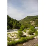 Nogal